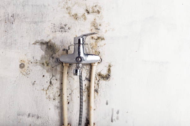 Best HVAC Mold Remediation in Binghamton, NY
