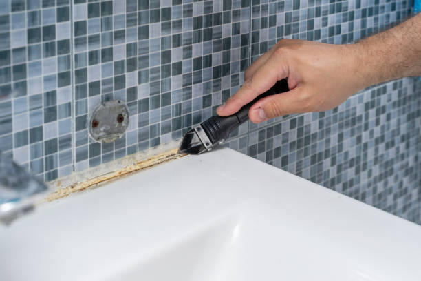 Best Emergency Mold Remediation in Binghamton, NY